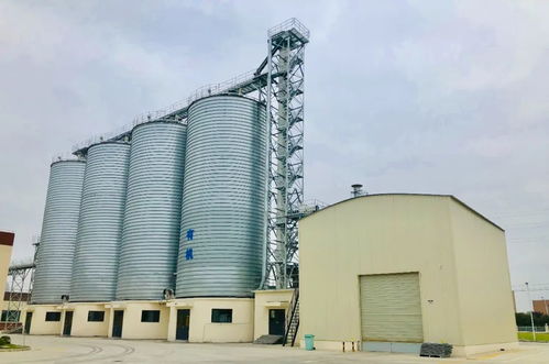 西麥食品集團宿遷生產基地竣工投產，攜手濟南建筑設計院共繪健康產業新藍圖